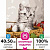 Картина по номерам 40х50 см, ОСТРОВ СОКРОВИЩ "Котёнок", на подрамнике, акриловые краски, 3 кисти, 662468